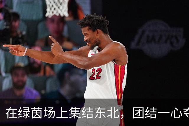在绿茵场上集结东北，团结一心夺冠军